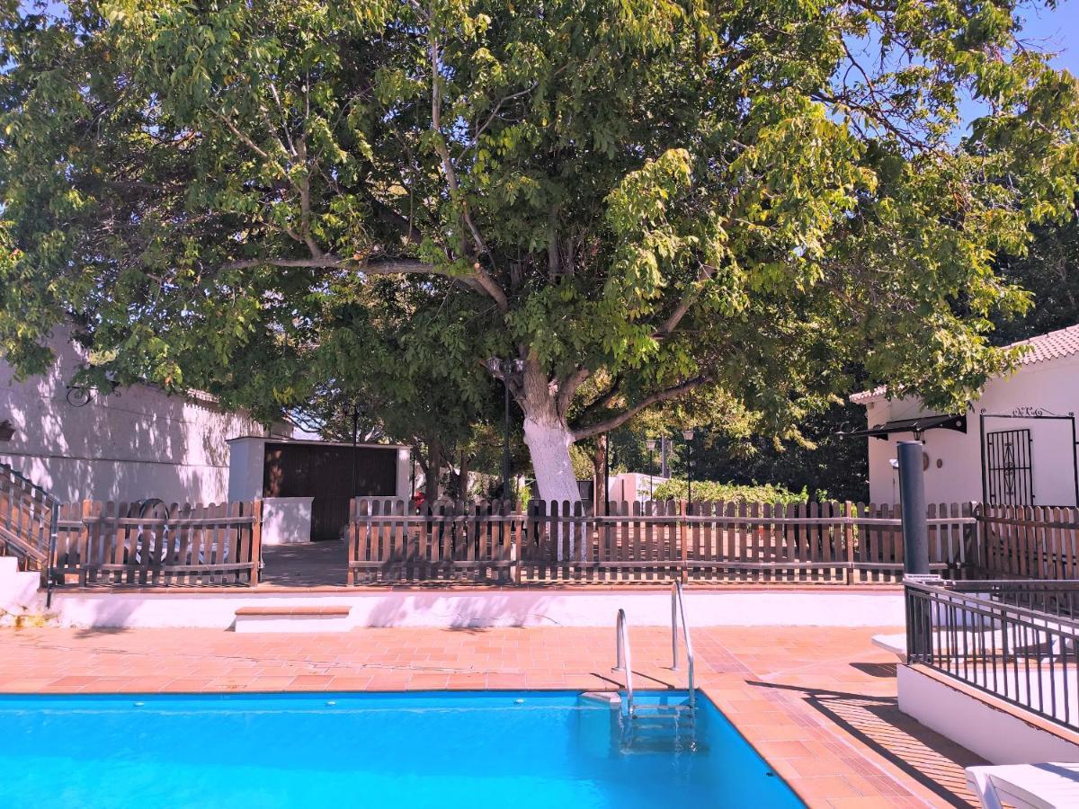 Complejo Apartamentos Rurales Molino De Abajo Ribera Baja  Dış mekan fotoğraf