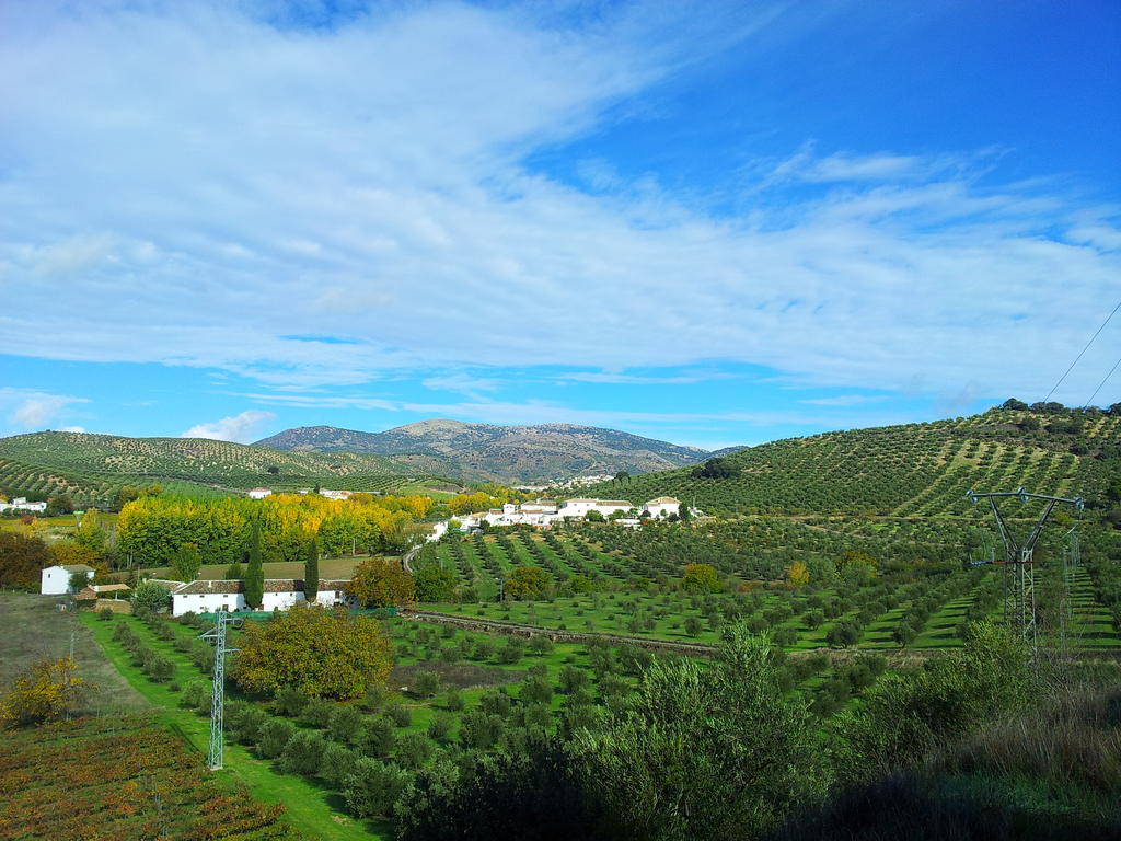 Complejo Apartamentos Rurales Molino De Abajo Ribera Baja  Dış mekan fotoğraf