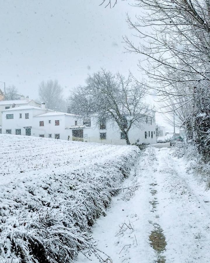 Complejo Apartamentos Rurales Molino De Abajo Ribera Baja  Dış mekan fotoğraf