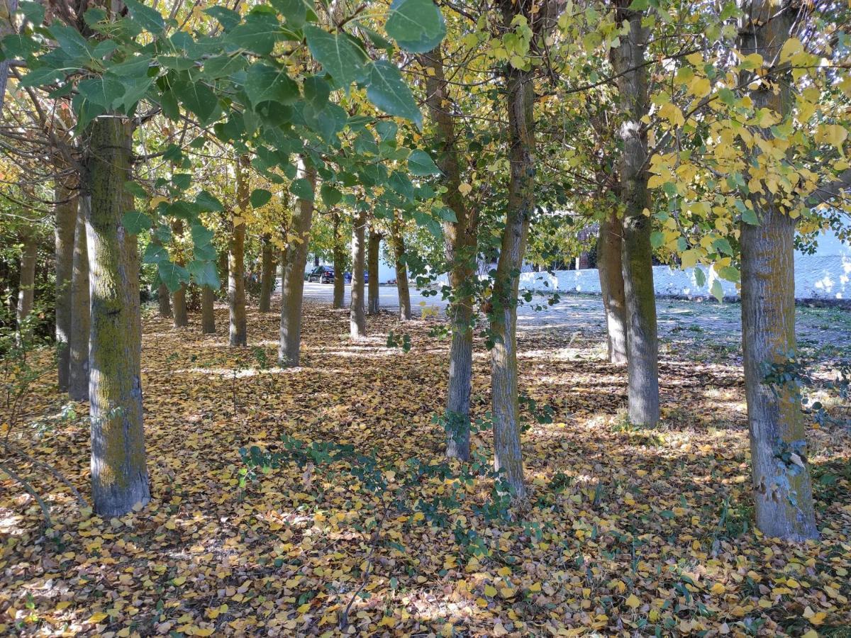 Complejo Apartamentos Rurales Molino De Abajo Ribera Baja  Dış mekan fotoğraf