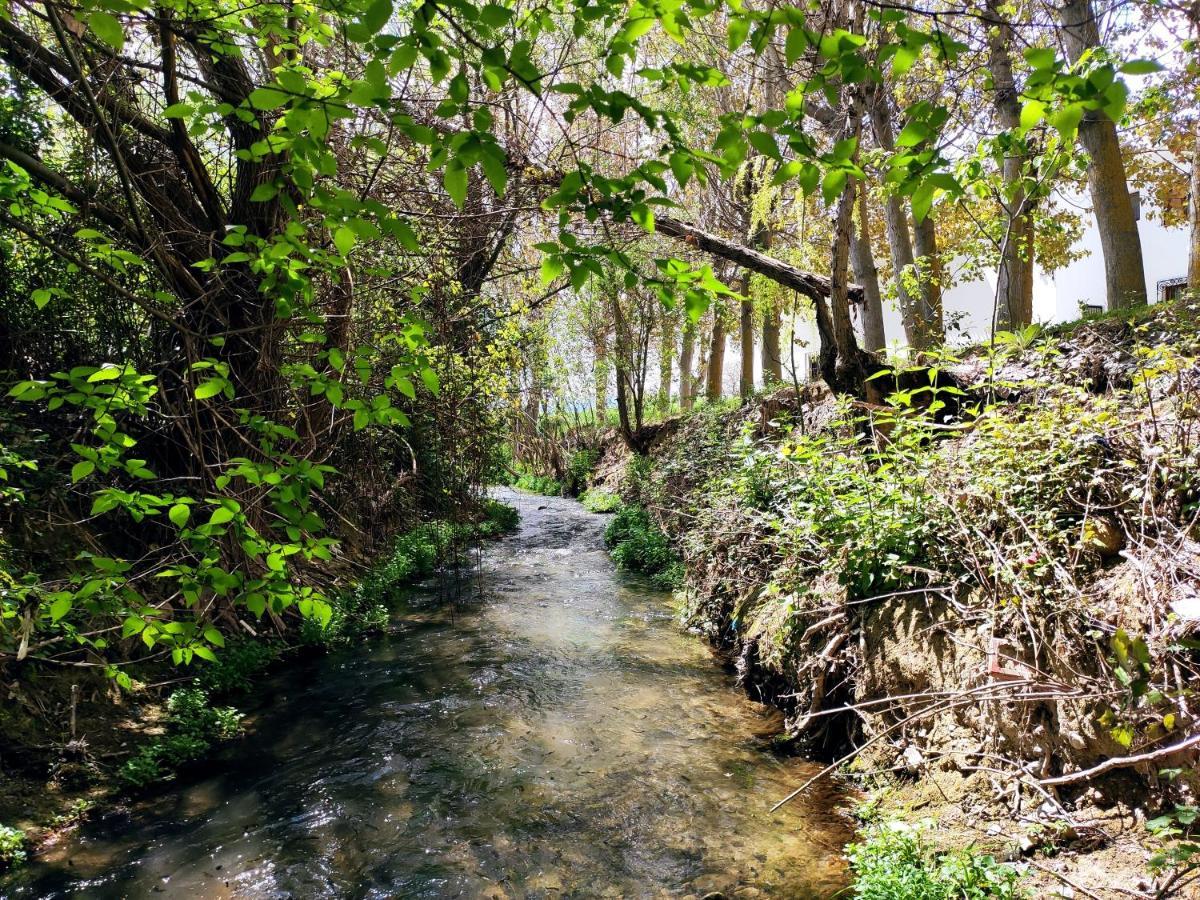 Complejo Apartamentos Rurales Molino De Abajo Ribera Baja  Dış mekan fotoğraf